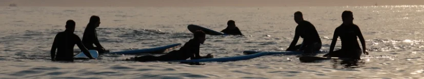 Surfersinzee6.1